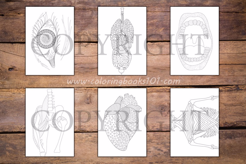  Anatomy Coloring Book for Adults