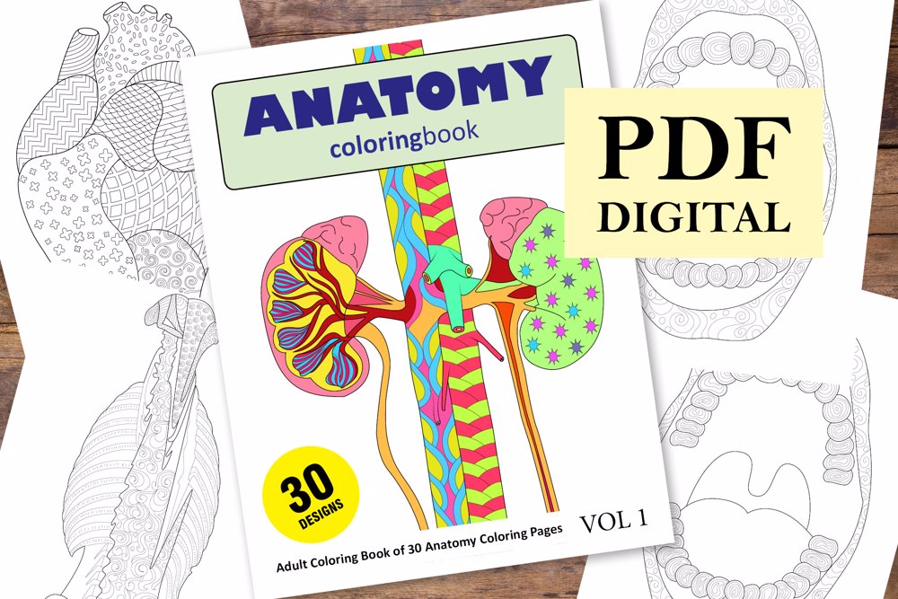  Anatomy Coloring Book for Adults