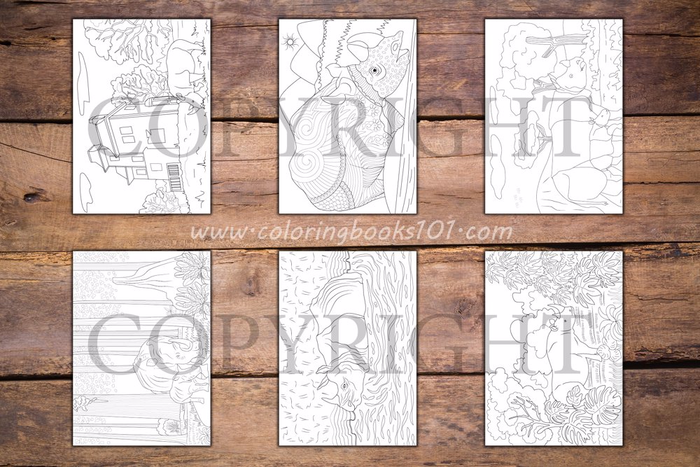 Rhinoceros Coloring Book for Adults