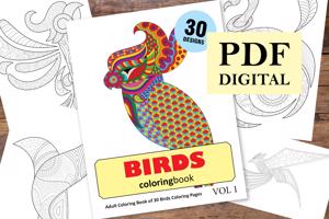 Birds Coloring Book for Adults